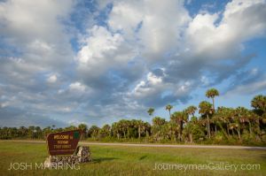 Josh Manring Photographer Decor Wall Art -  Florida Everglades -69.jpg